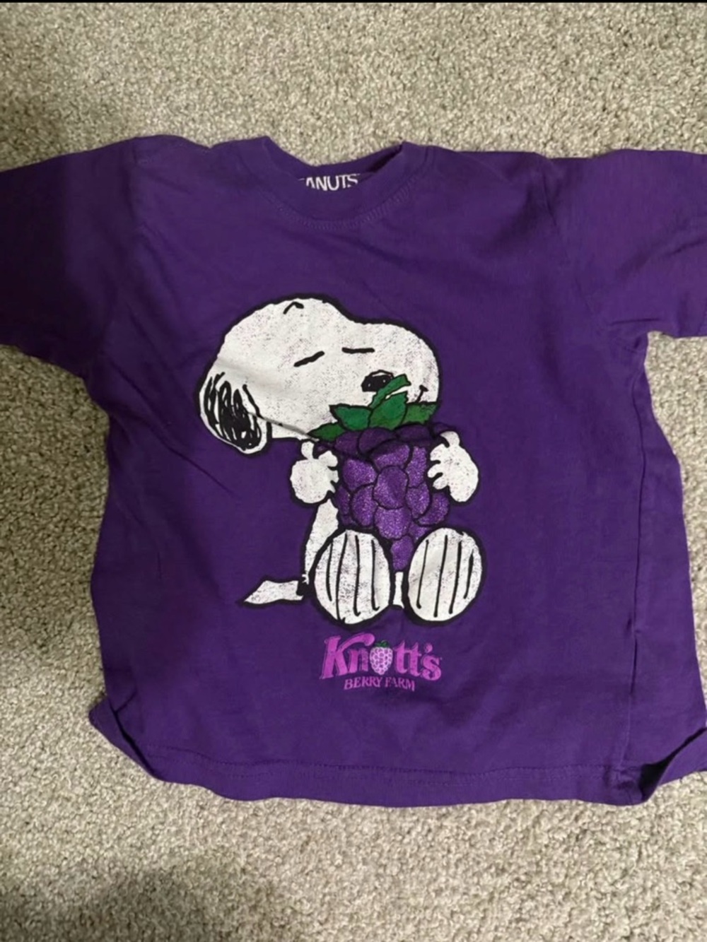 Knott's Berry Farm Boysenberry Purple Snoopy Graphic Kids T-Shirt